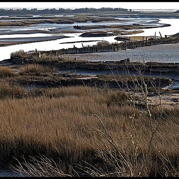 Domaine de Certes à Audenge