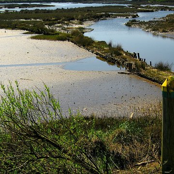 Domaine de Certes à Audenge