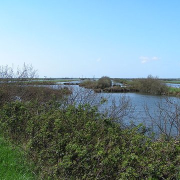 Domaine de Certes à Audenge