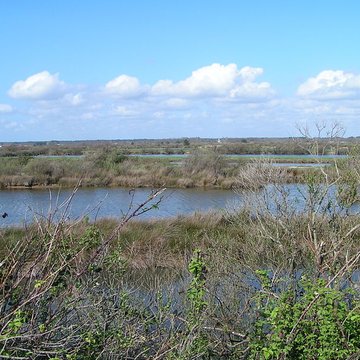Domaine de Certes à Audenge