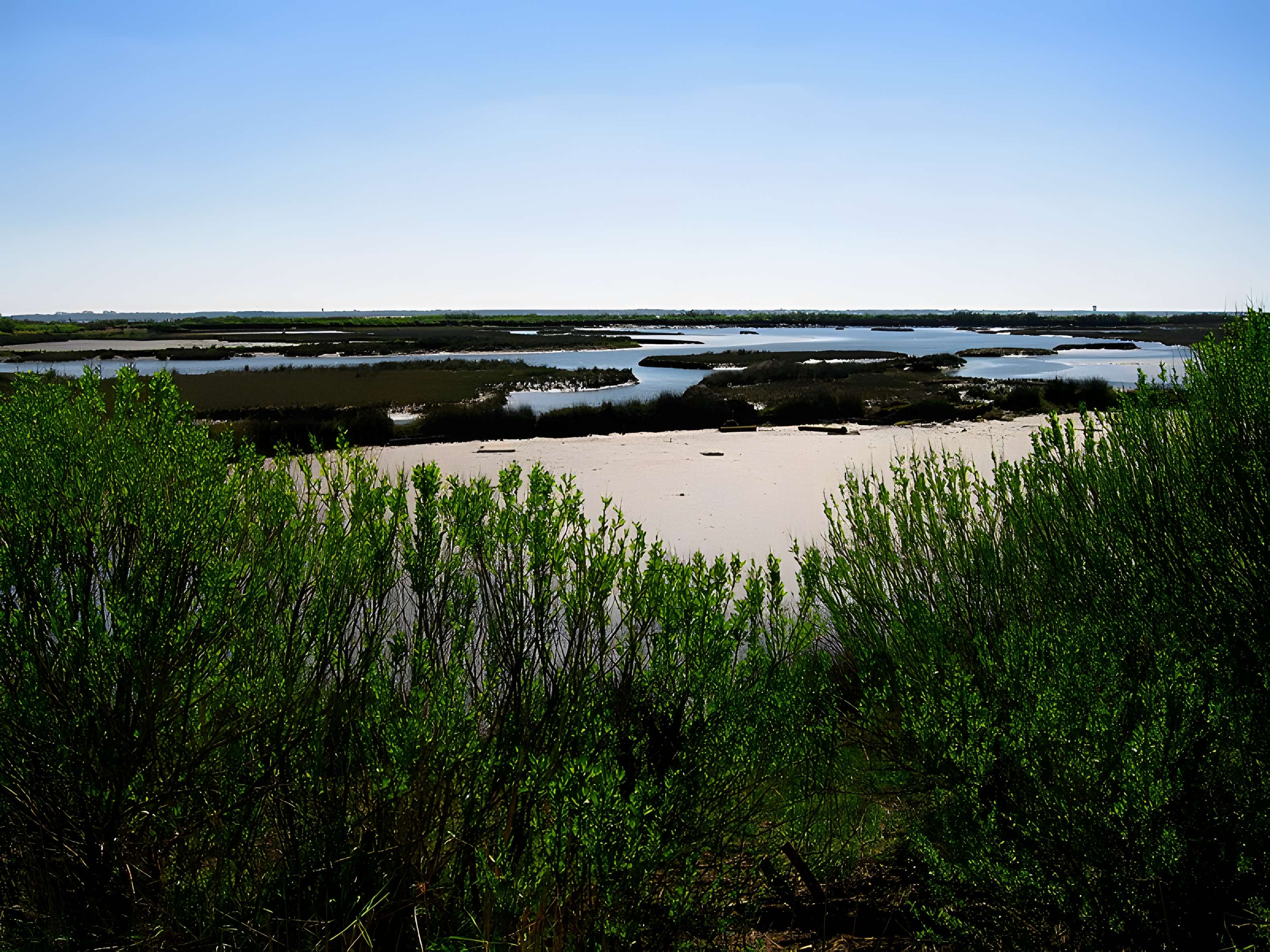 Domaine de Certes à Audenge