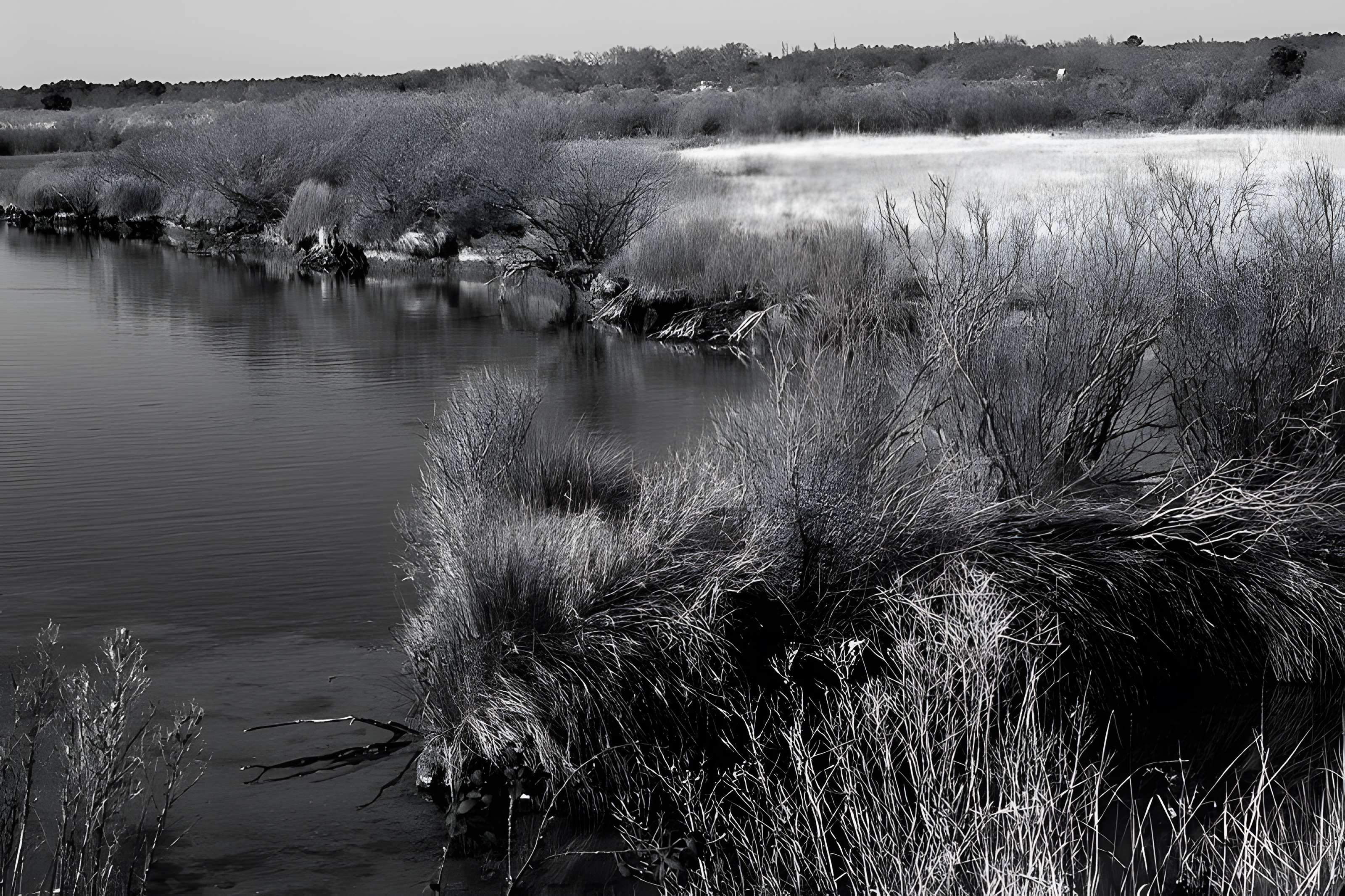 Domaine de Certes à Audenge
