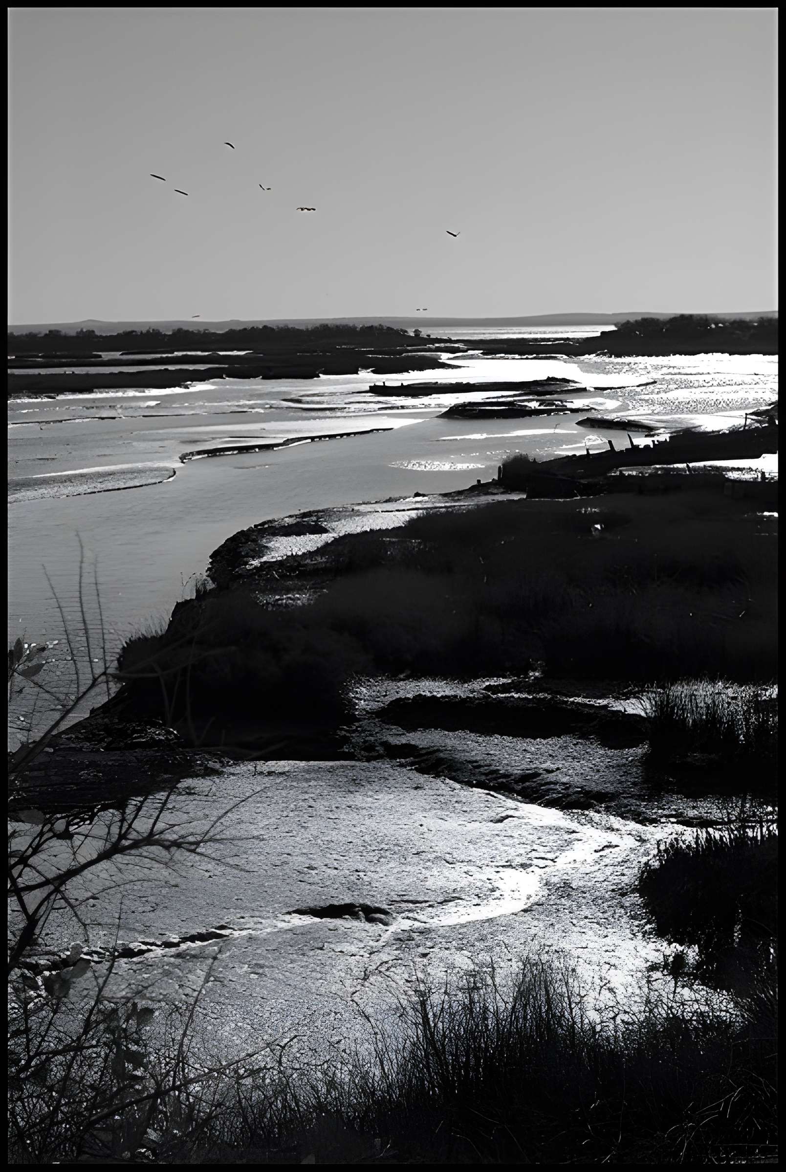 Domaine de Certes à Audenge