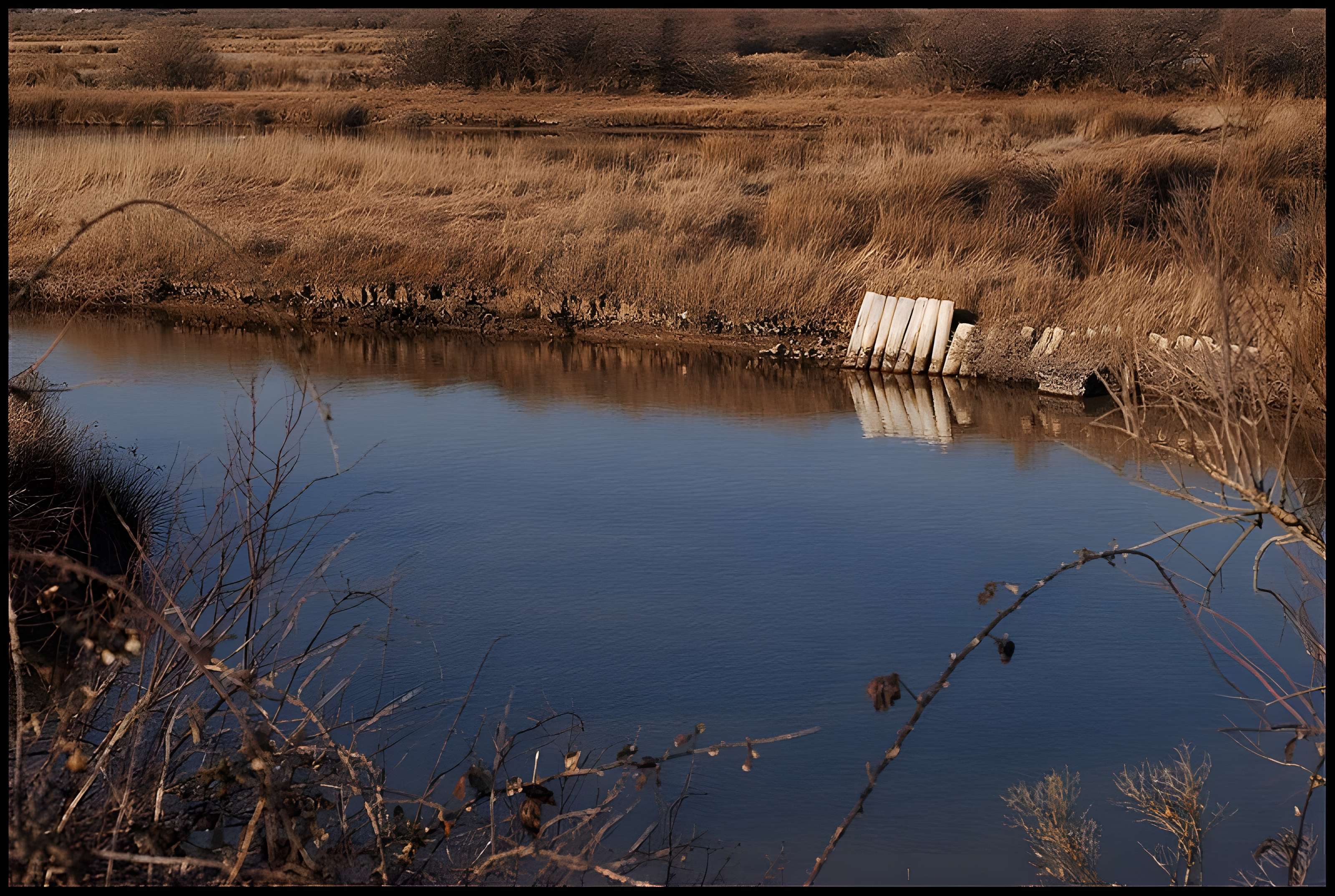 Domaine de Certes à Audenge