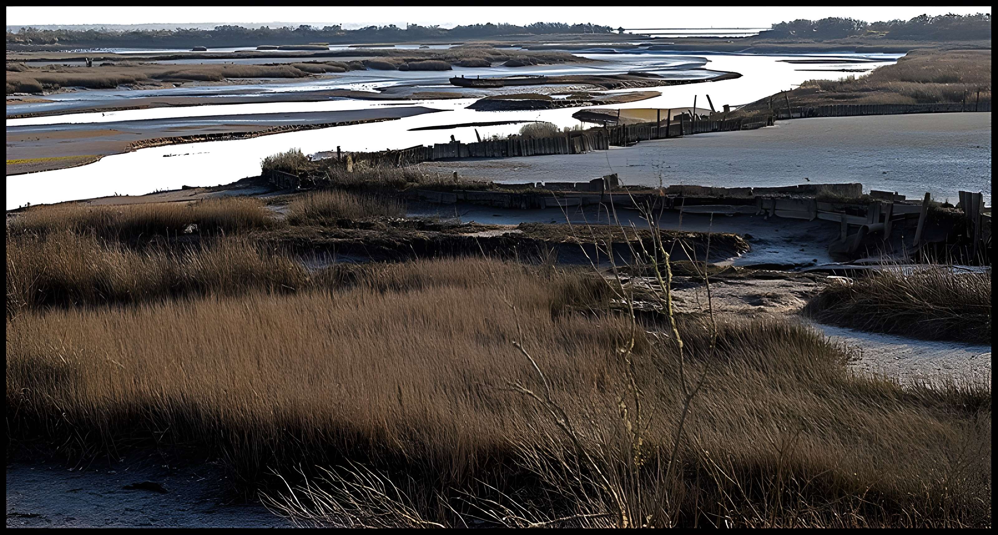 Domaine de Certes à Audenge