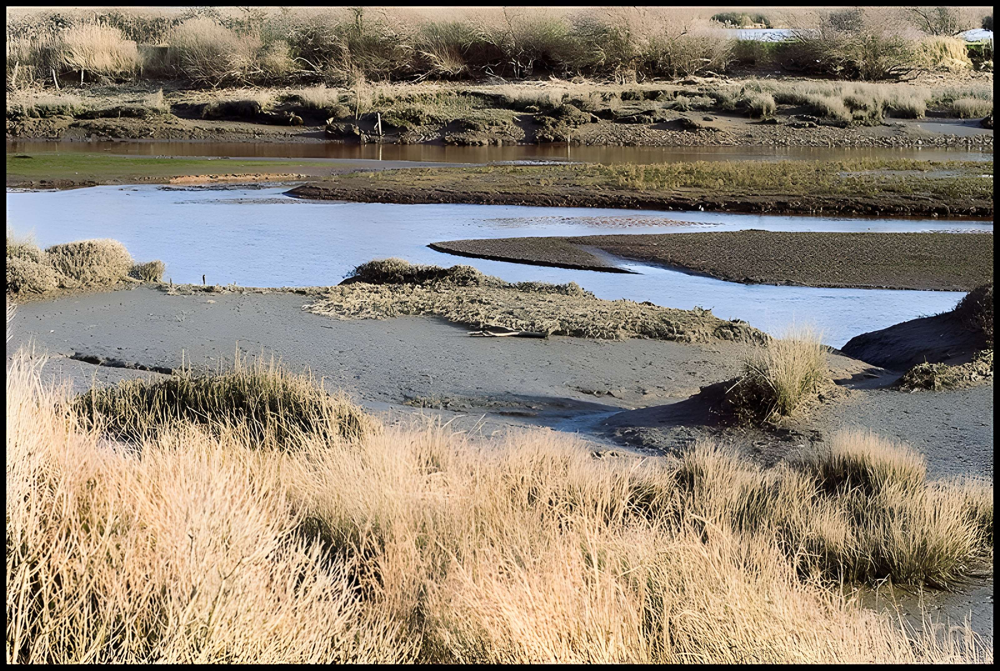 Domaine de Certes à Audenge