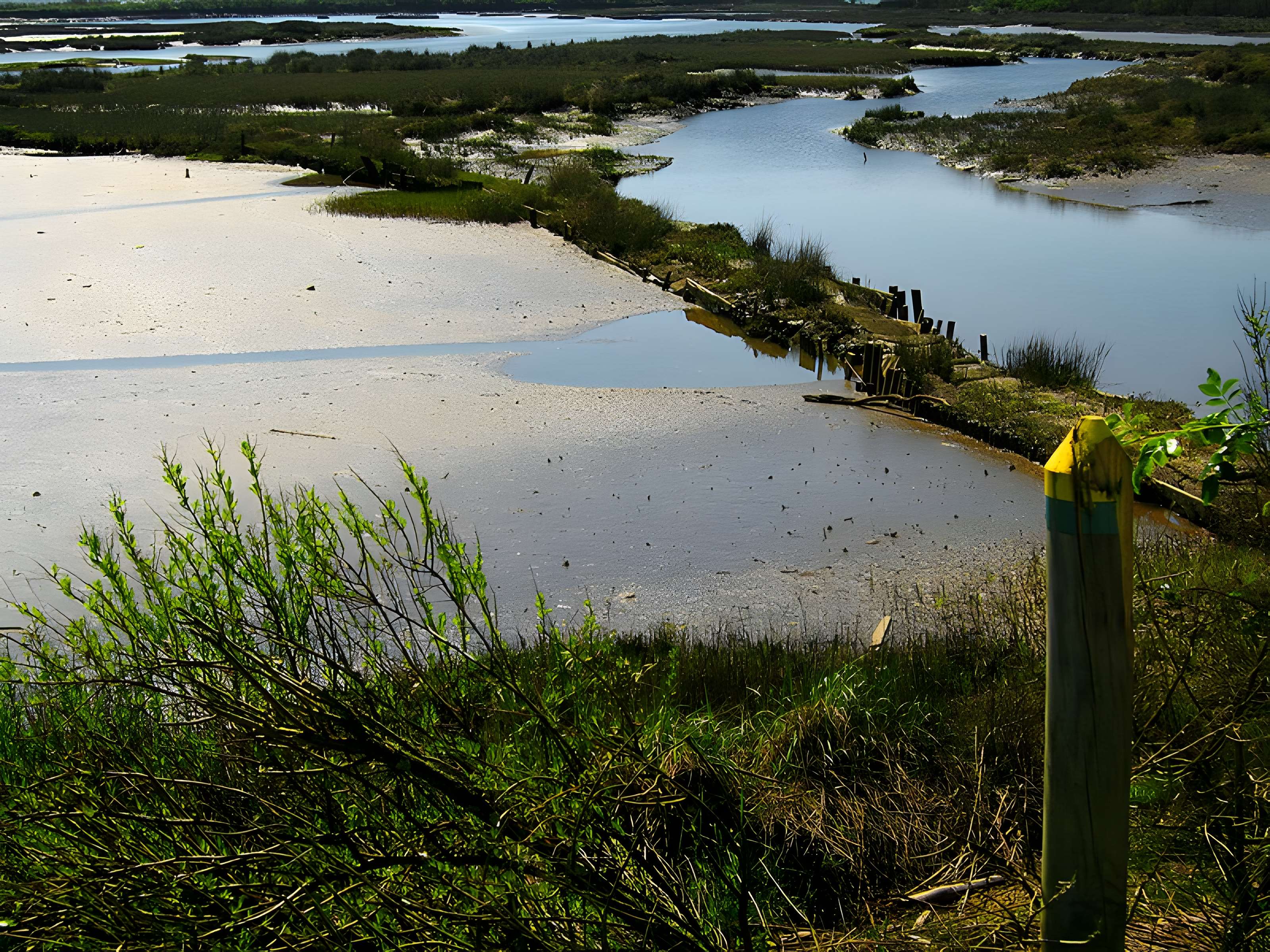 Domaine de Certes à Audenge