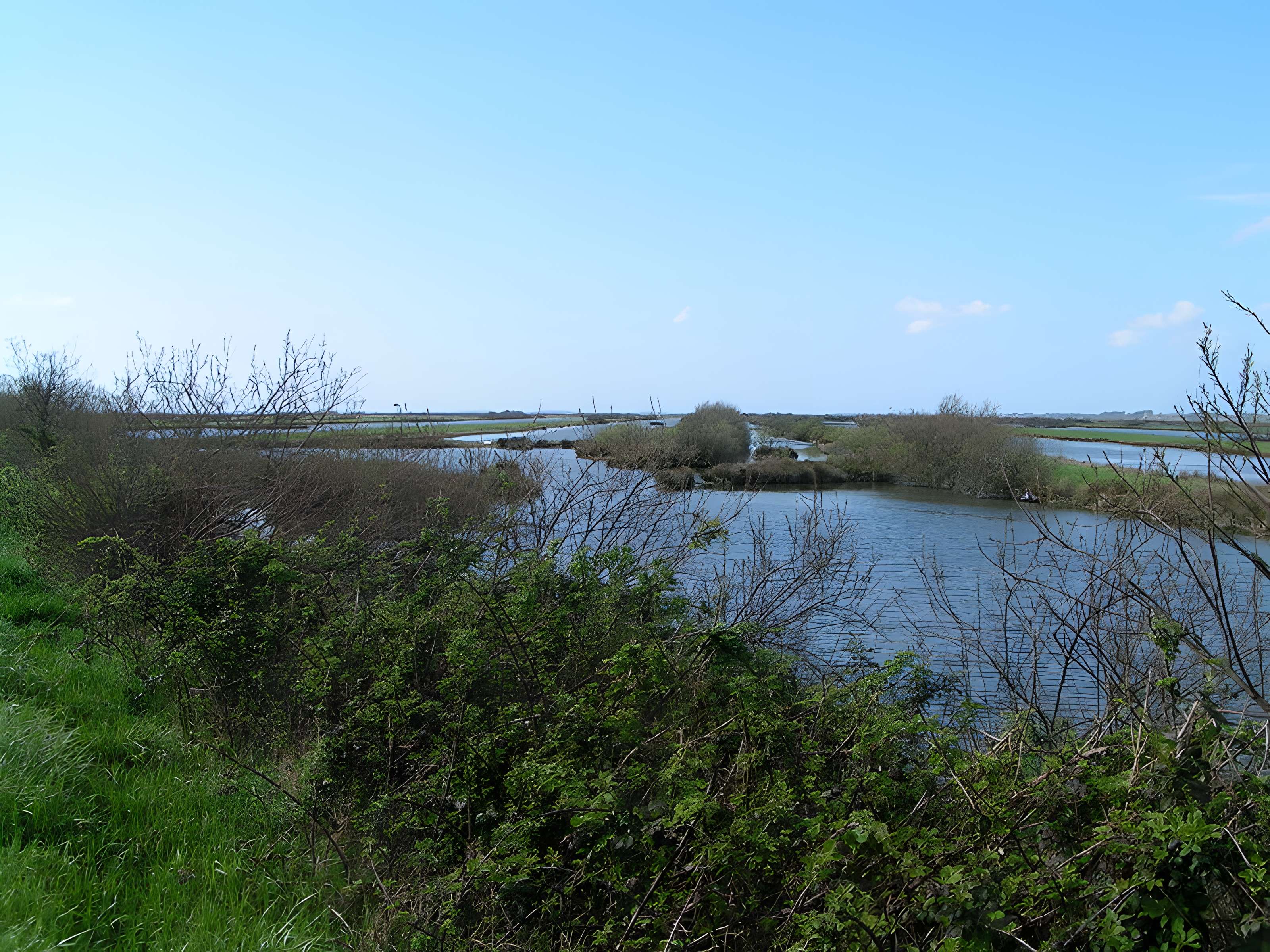 Domaine de Certes à Audenge