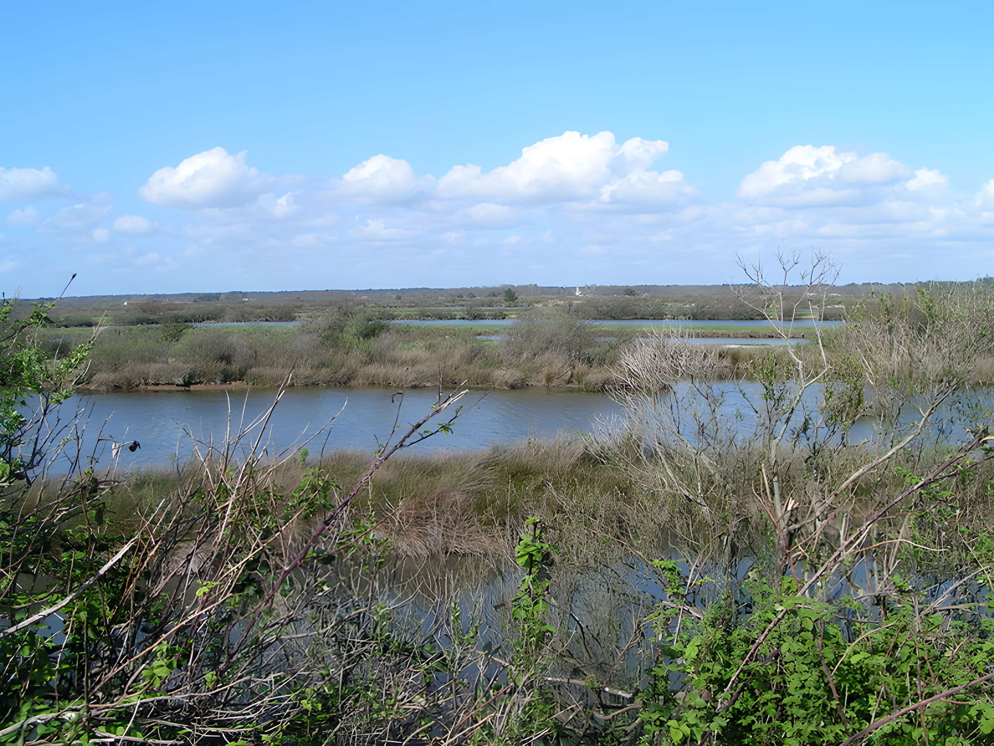Domaine de Certes à Audenge