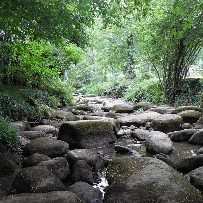 Photo de Domaine de la Garenne Lemot à Gétigné