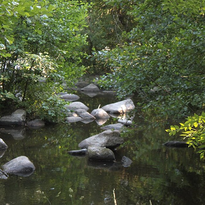 Photo de Domaine de la Garenne Lemot à Gétigné