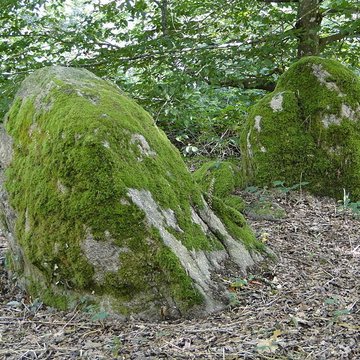Domaine de la Garenne Lemot à Gétigné