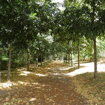 Domaine de la Garenne Lemot à Gétigné