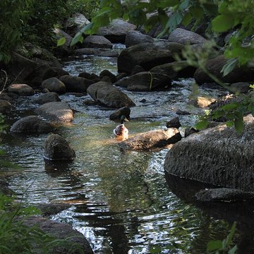 Domaine de la Garenne Lemot à Gétigné