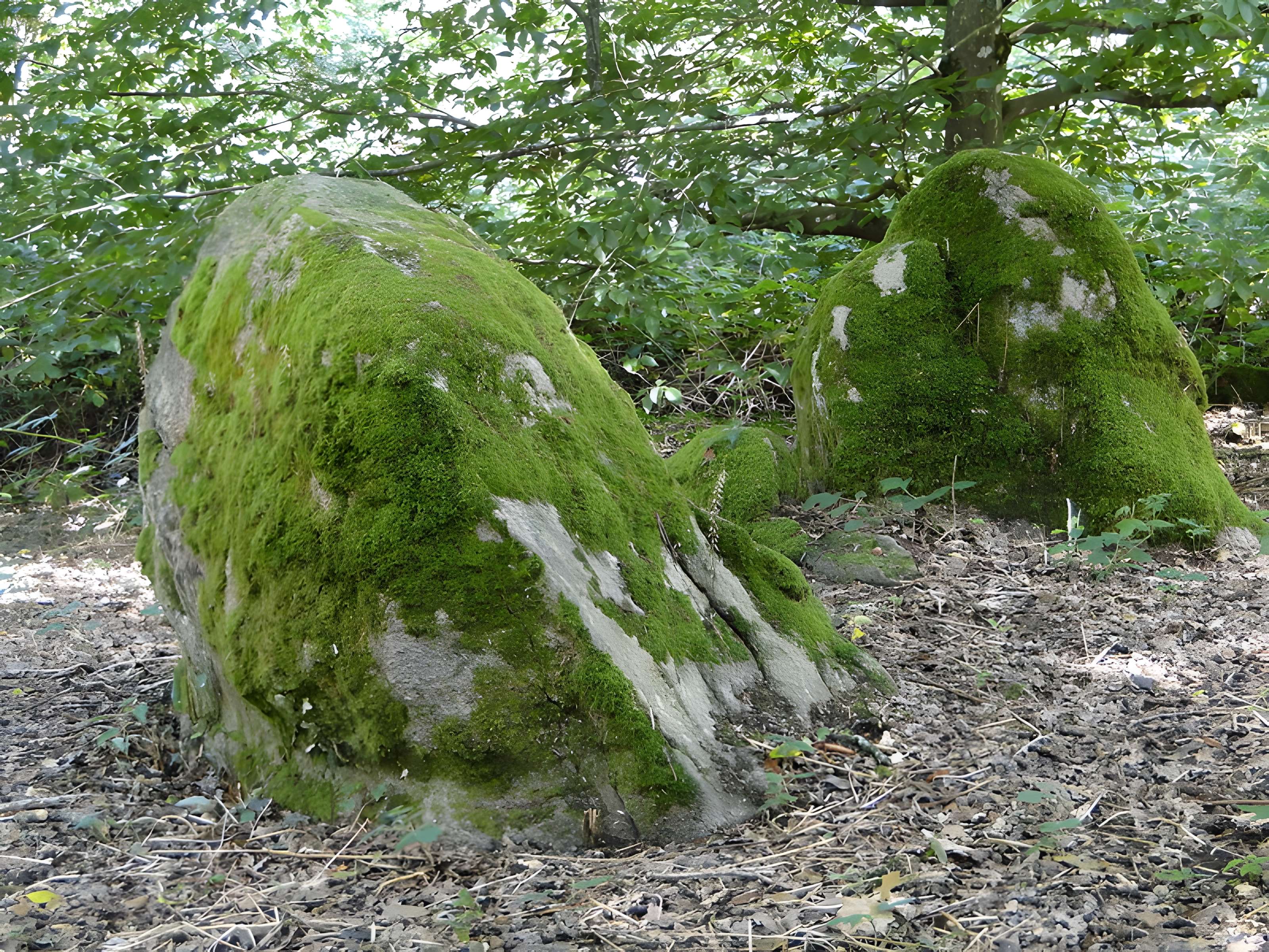 Domaine de la Garenne Lemot à Gétigné