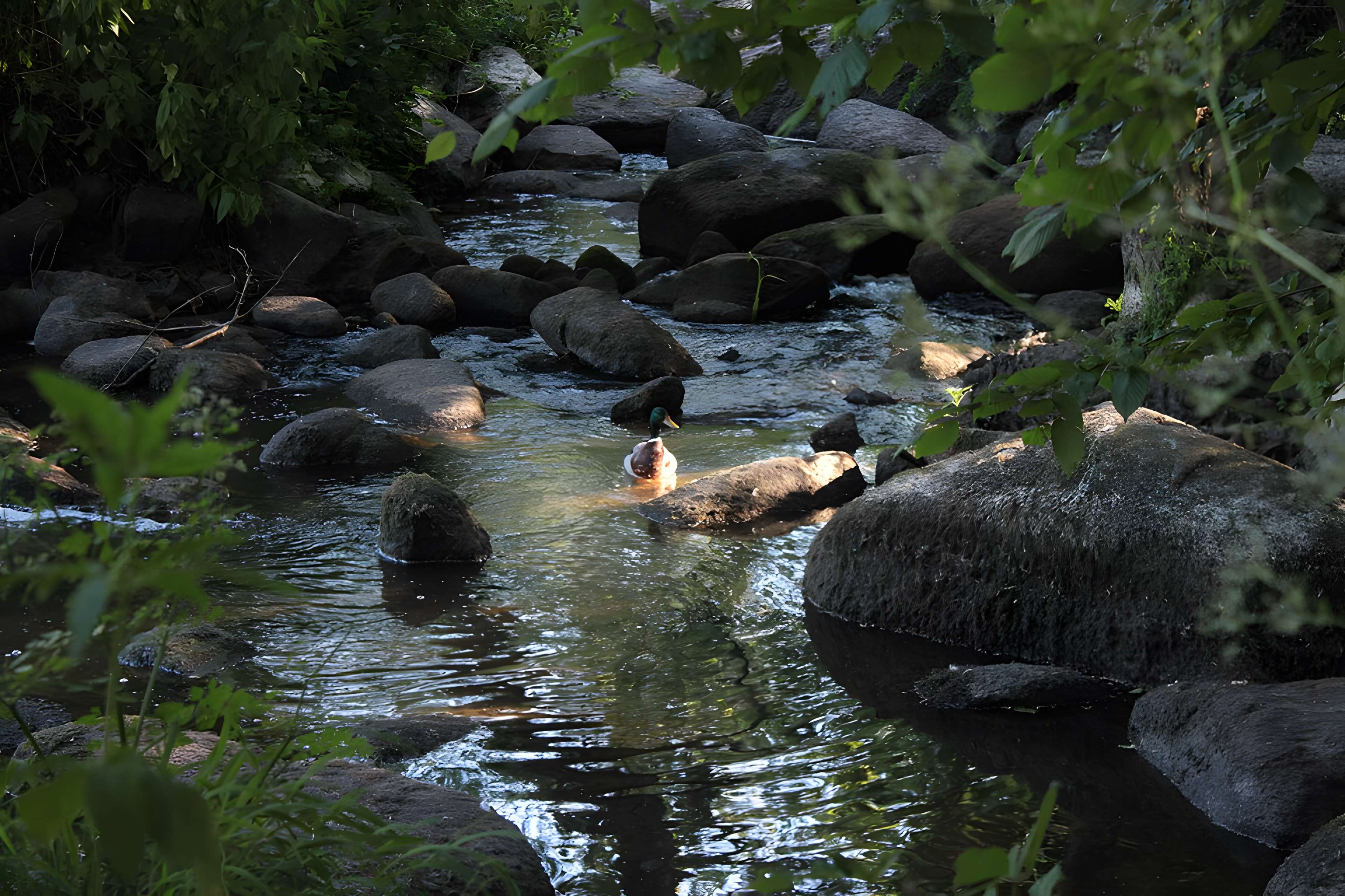 Domaine de la Garenne Lemot à Gétigné