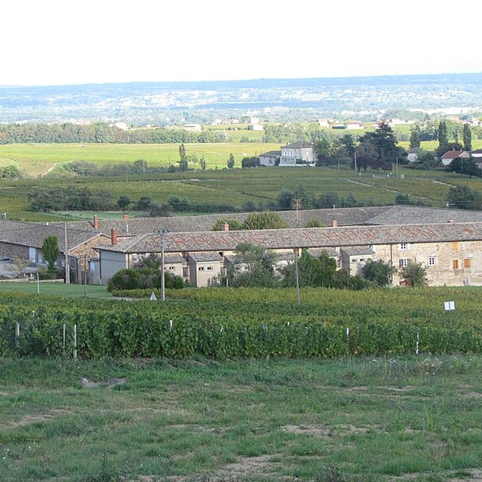 Photo de Domaine de la Grange-Charton à Régnié-Durette