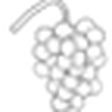 Domaine de la Grange-Charton à Régnié-Durette