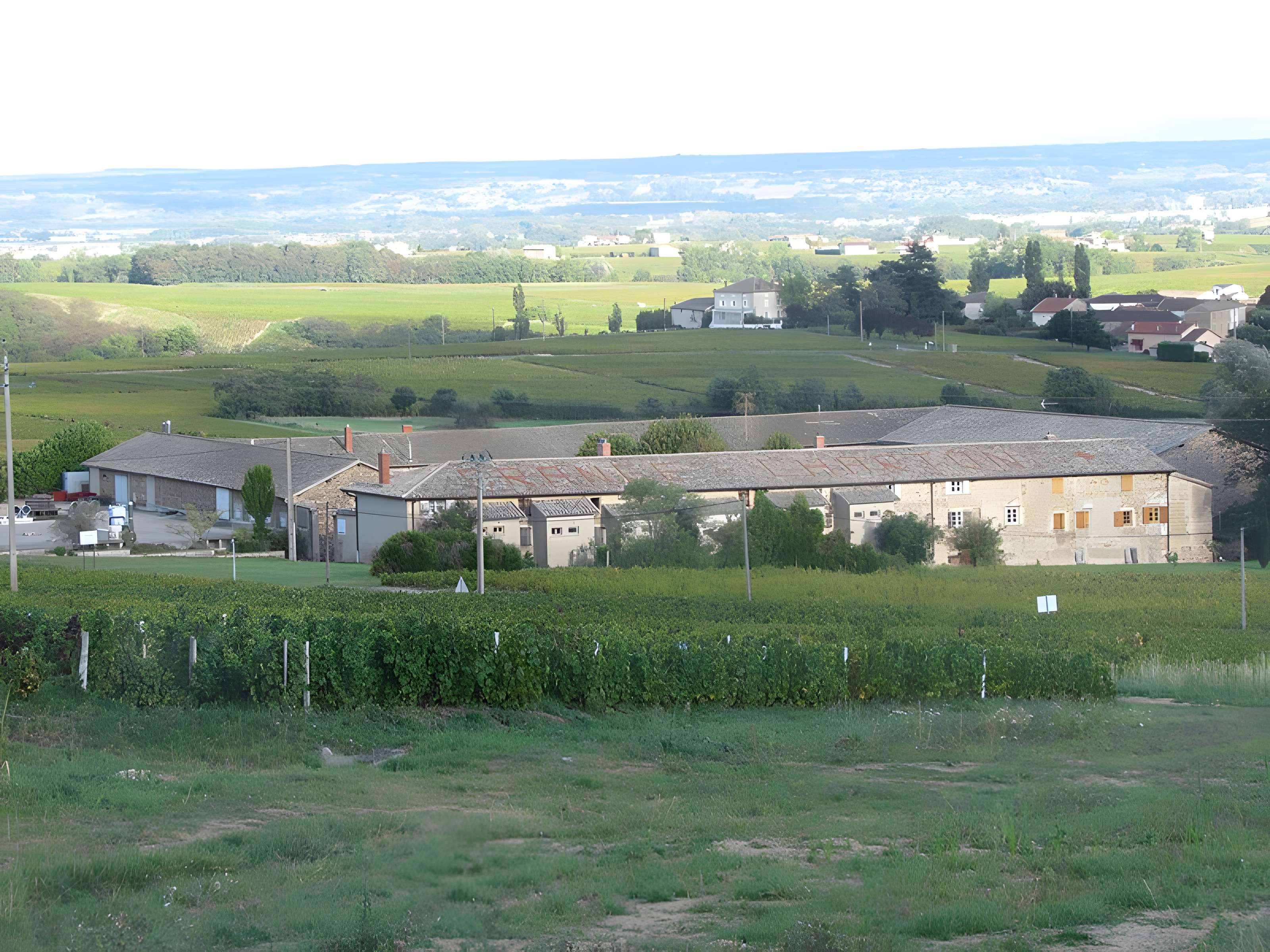 Domaine de la Grange-Charton à Régnié-Durette