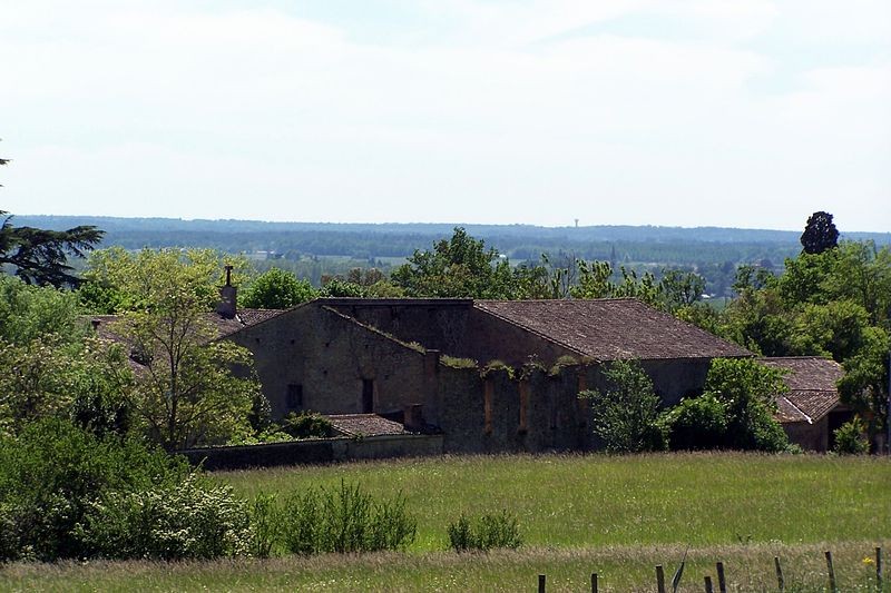 Photo de Domaine de Montalban à Casseuil
