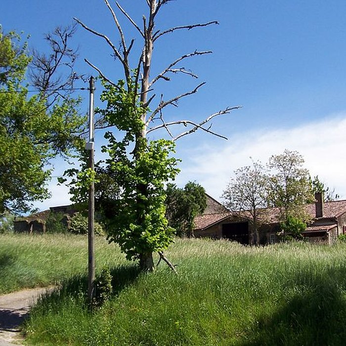 Photo de Domaine de Montalban à Casseuil