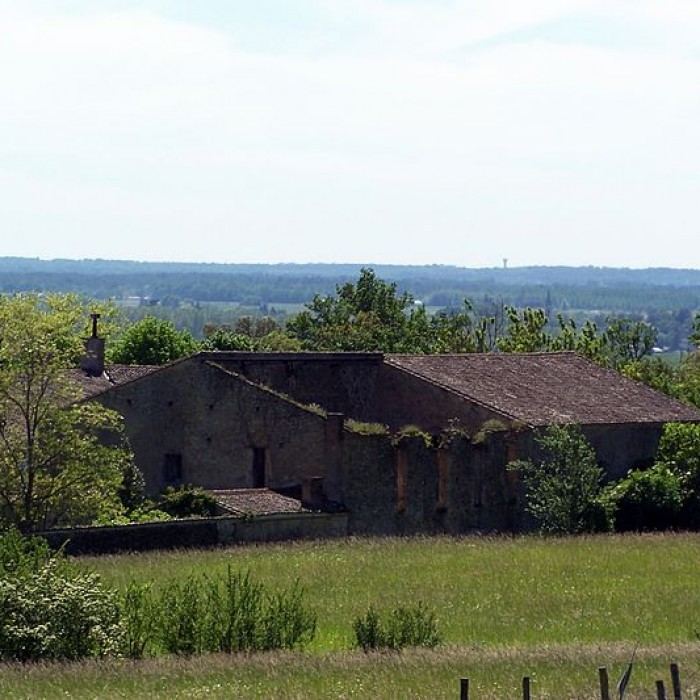 Photo de Domaine de Montalban à Casseuil