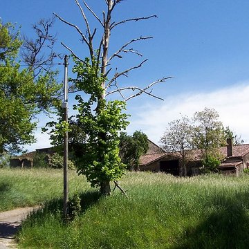 Domaine de Montalban à Casseuil