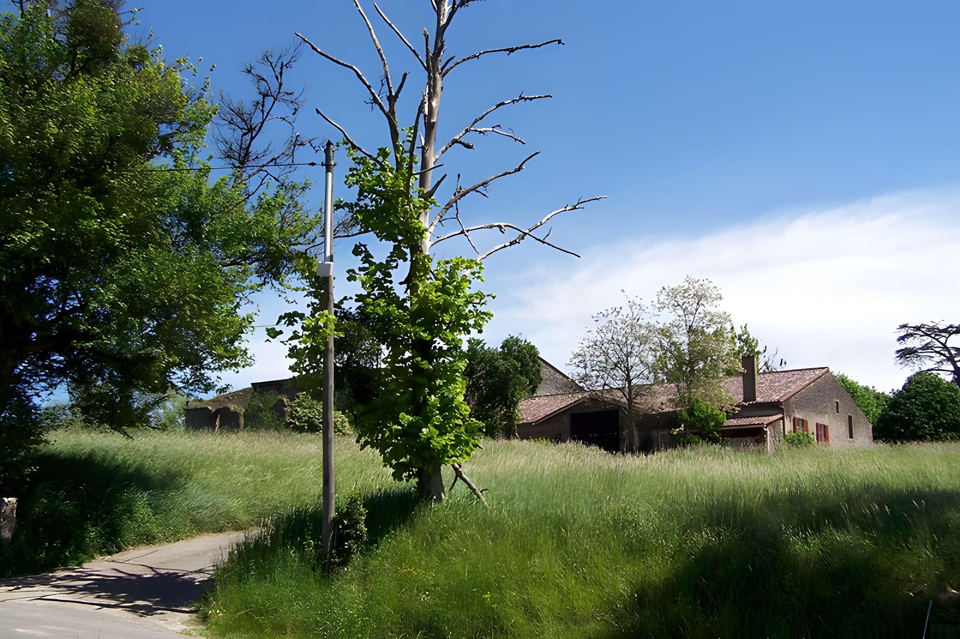 Domaine de Montalban à Casseuil