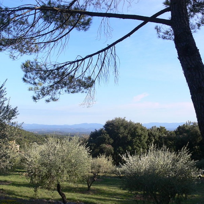 Photo de Domaine des Treilles également sur commune de Flayosc