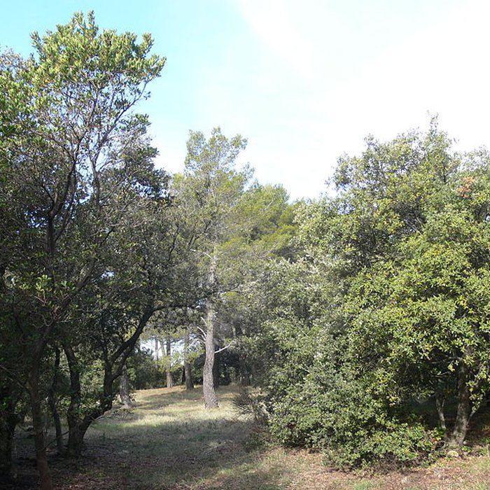 Photo de Domaine des Treilles également sur commune de Flayosc