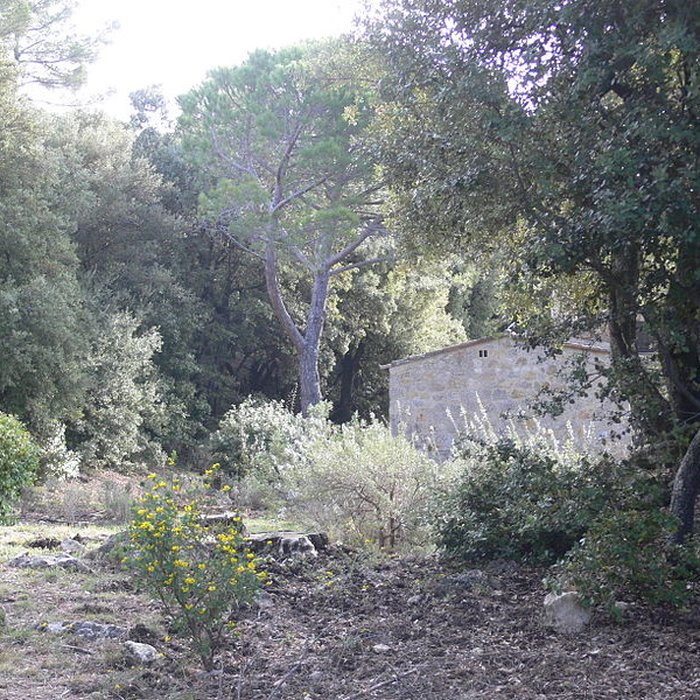 Photo de Domaine des Treilles également sur commune de Flayosc