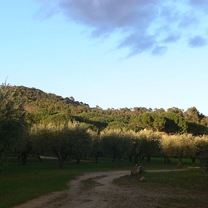 Photo de Domaine des Treilles également sur commune de Flayosc