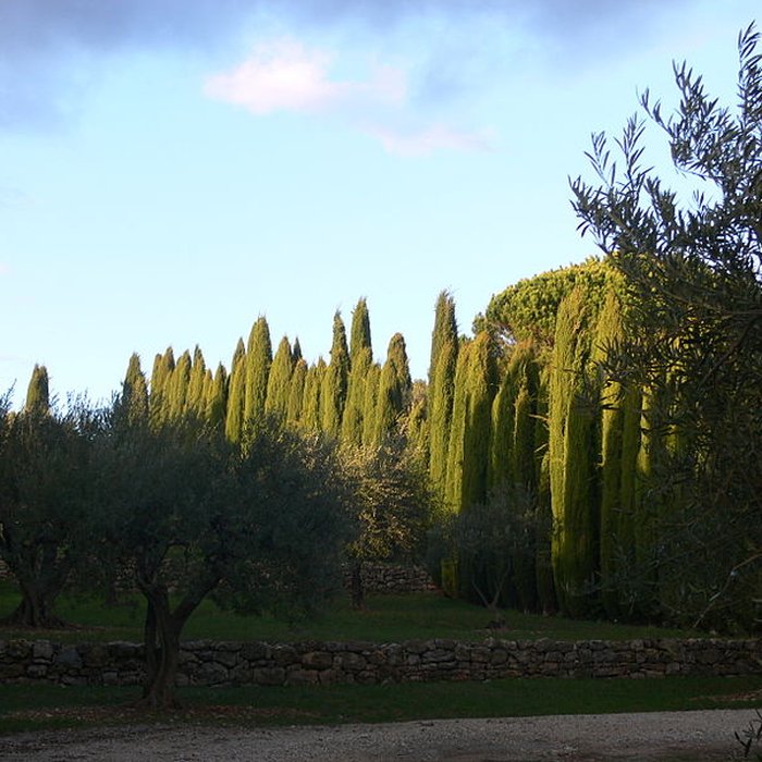 Photo de Domaine des Treilles également sur commune de Flayosc