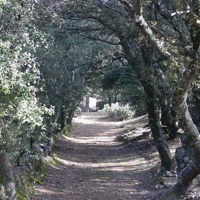 Photo de Domaine des Treilles également sur commune de Flayosc