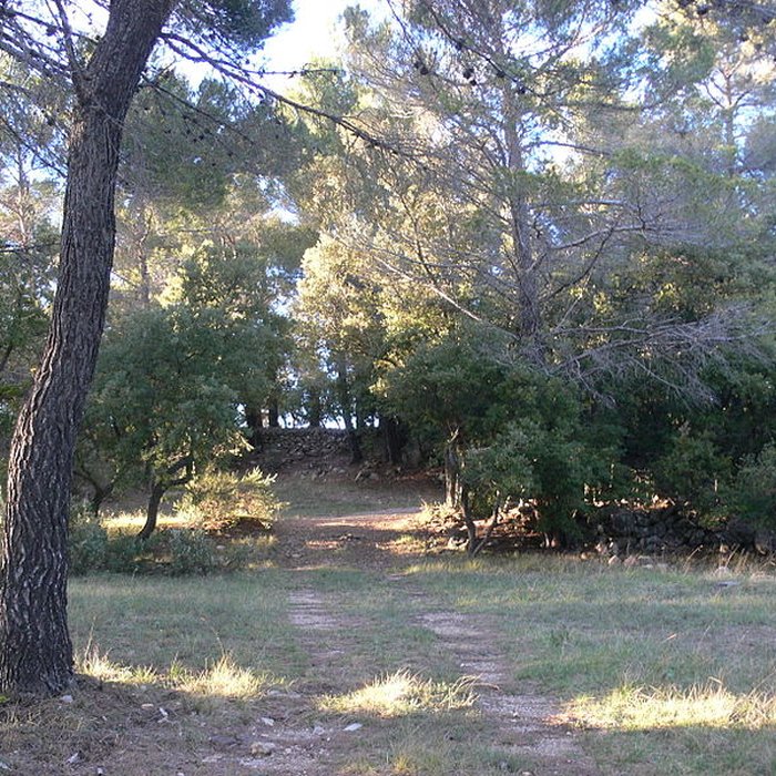 Photo de Domaine des Treilles également sur commune de Flayosc