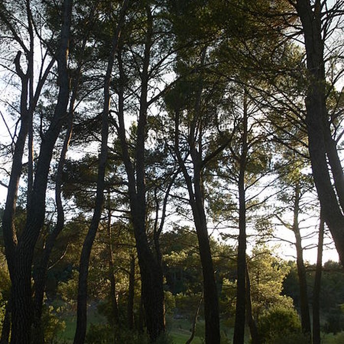 Photo de Domaine des Treilles également sur commune de Flayosc