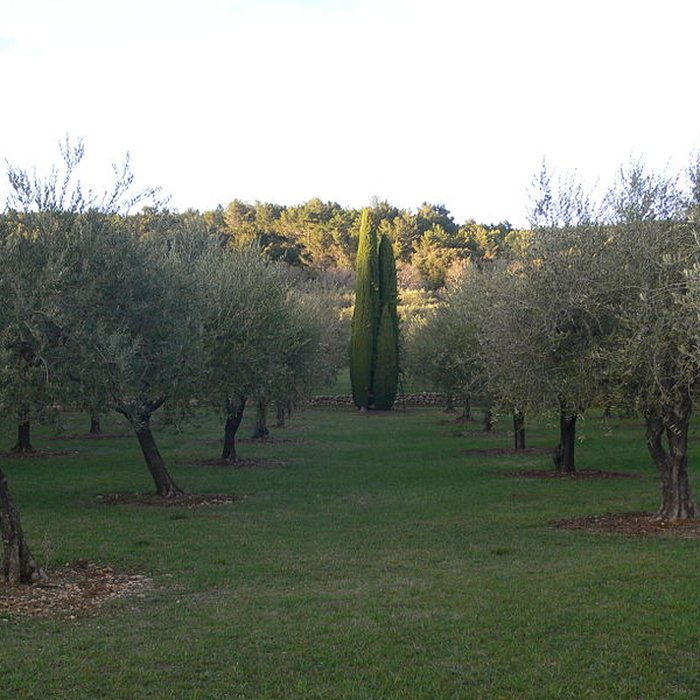 Photo de Domaine des Treilles également sur commune de Flayosc
