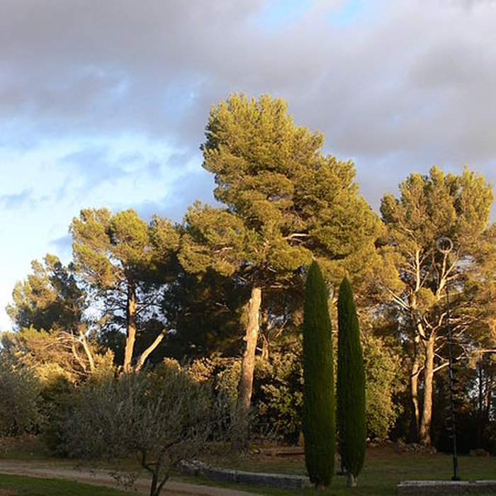 Photo de Domaine des Treilles également sur commune de Flayosc