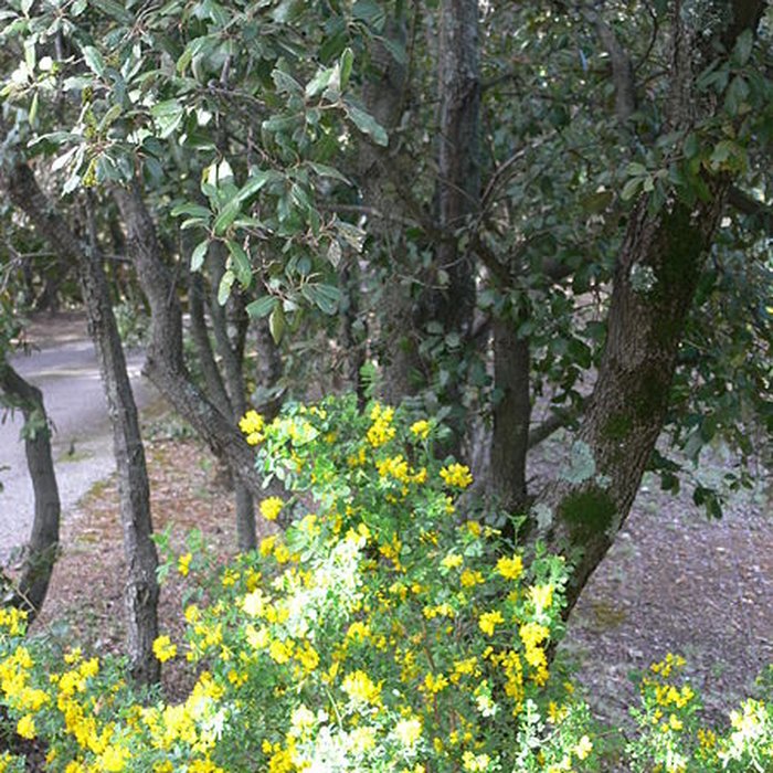 Photo de Domaine des Treilles également sur commune de Flayosc