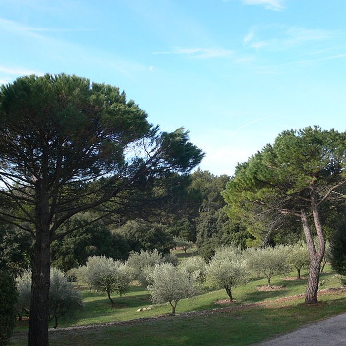 Photo de Domaine des Treilles également sur commune de Flayosc