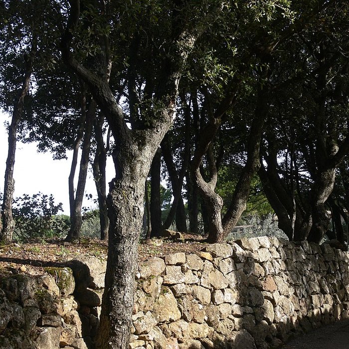 Photo de Domaine des Treilles également sur commune de Flayosc