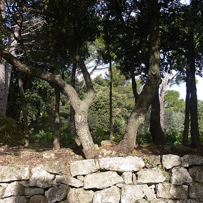 Photo de Domaine des Treilles également sur commune de Flayosc