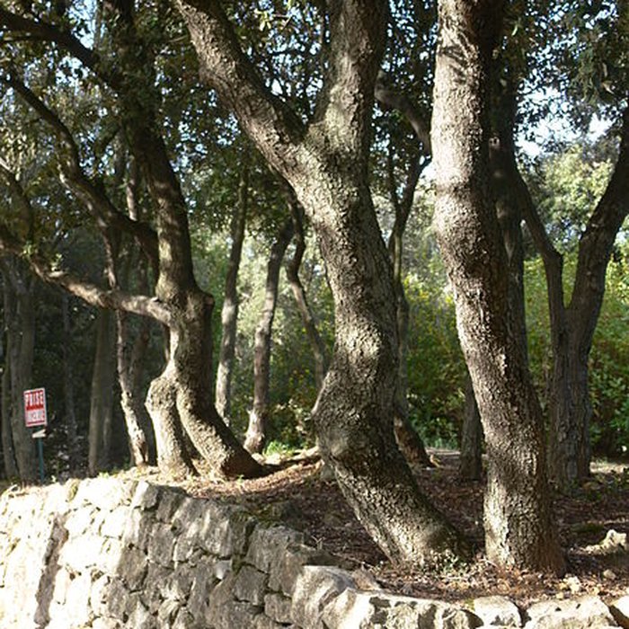 Photo de Domaine des Treilles également sur commune de Flayosc