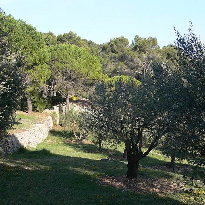 Photo de Domaine des Treilles également sur commune de Flayosc