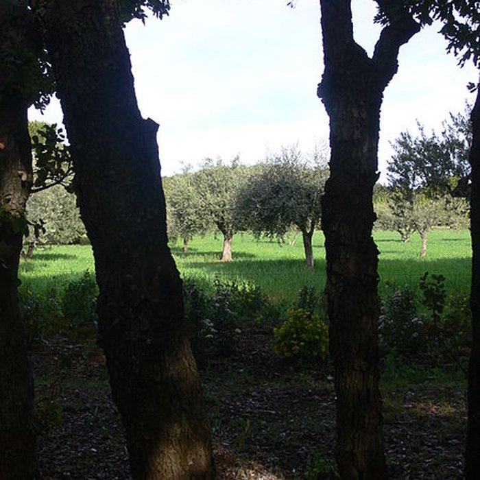 Photo de Domaine des Treilles également sur commune de Flayosc