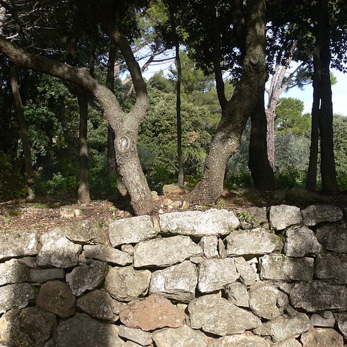 Photo de Domaine des Treilles également sur commune de Flayosc