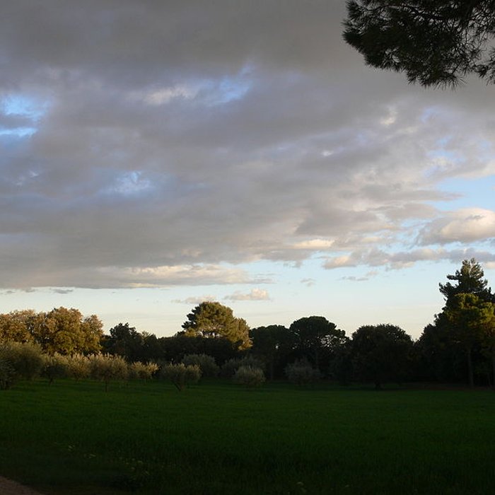 Photo de Domaine des Treilles également sur commune de Flayosc