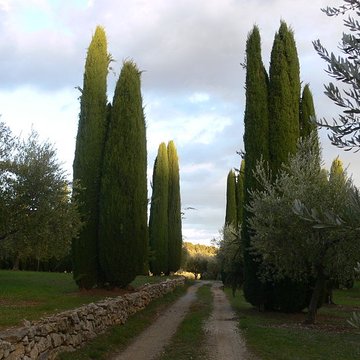 Domaine des Treilles à Flayosc