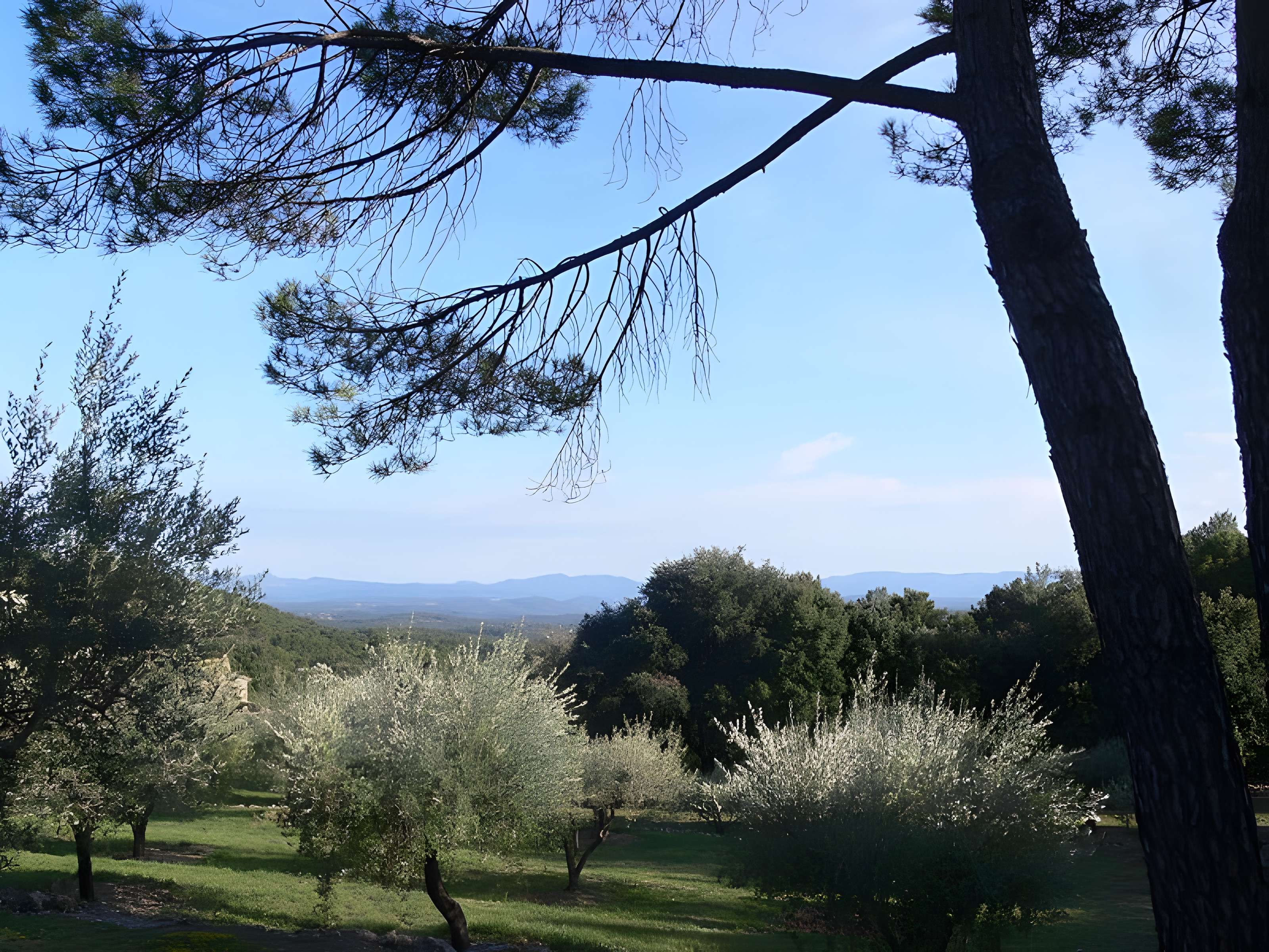 Domaine des Treilles à Flayosc 