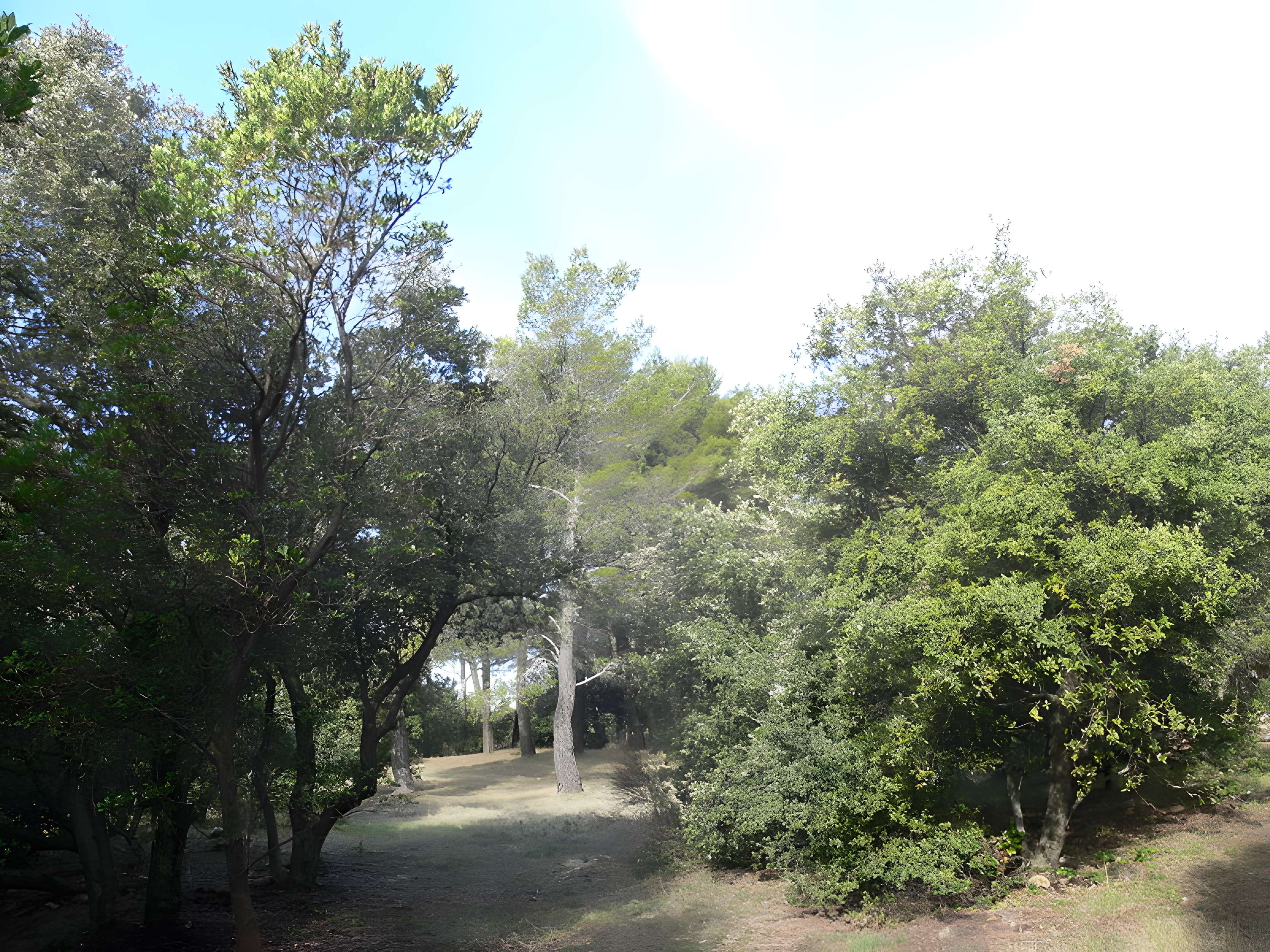 Domaine des Treilles à Flayosc